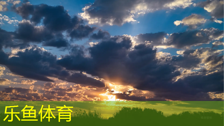 乐鱼体育,西宁全塑型塑胶跑道材料