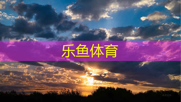 踏步机与健身车