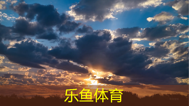 枣庄小区塑胶跑道材料