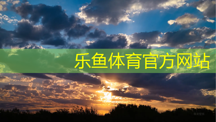 西宁全塑型塑胶跑道材料